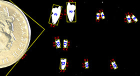 Otoliths